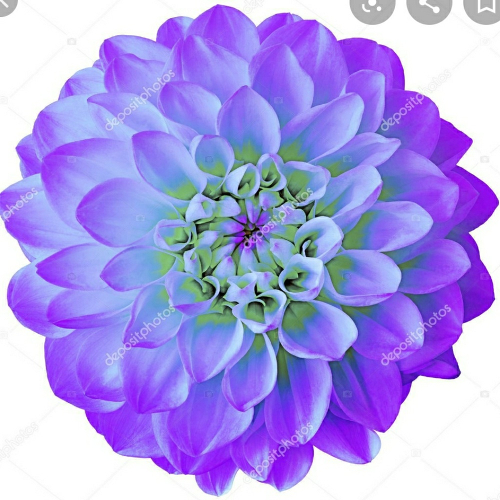 Meet your Posher, Mandi